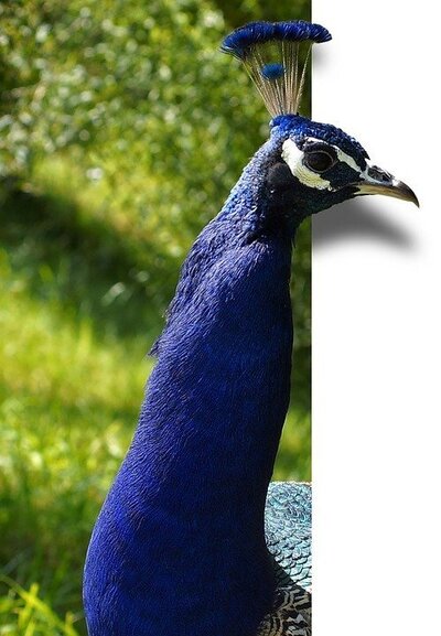 Master the art of editing with our editing foundation course. Unlock your creativity and enhance your animation skills at ISA Film School.